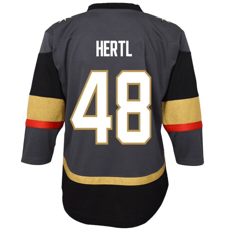 VGK Fanatics Breakaway Youth Gray Hertl Jersey Back