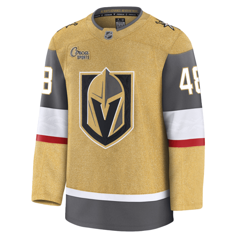 vegas golden knights fanatics premium stitched tomas hertl jersey 411